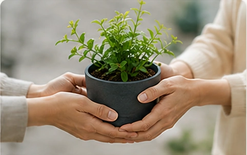 植物を手渡して再利用を表す様子